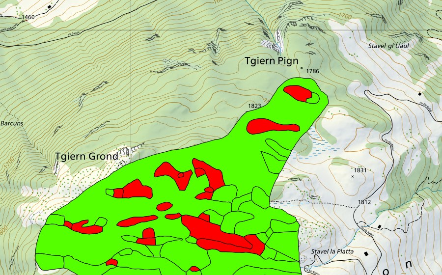 Carte nationale swisstopo avec le périmètre protégé de Tgiern Grond (Haut-marais)