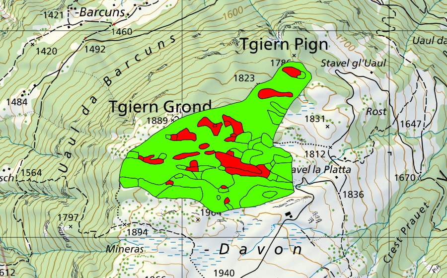 swisstopo national map showing the protected perimeter of Tgiern Grond (Raised bog)