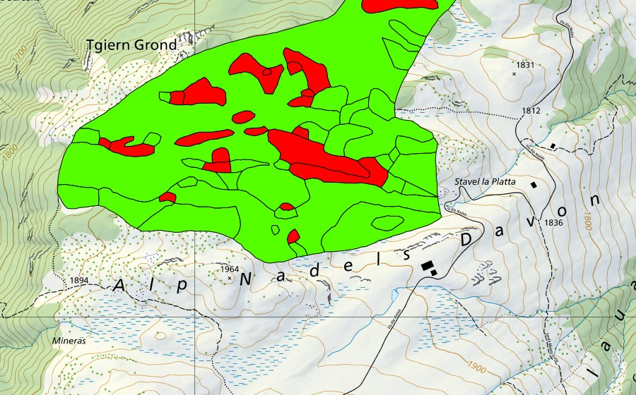 Carta nazionale swisstopo con il perimetro protetto di Tgiern Grond (Torbiera alta)