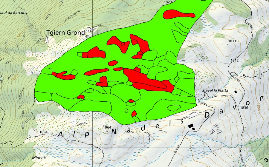 swisstopo national map showing the protected perimeter of Tgiern Grond (Raised bog)