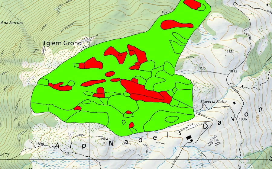 Carte nationale swisstopo avec le périmètre protégé de Tgiern Grond (Haut-marais)