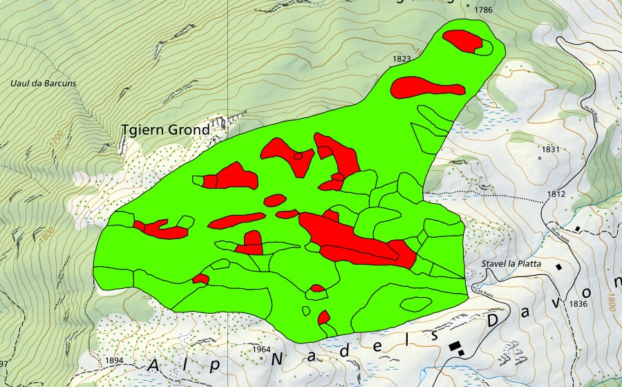 swisstopo national map showing the protected perimeter of Tgiern Grond (Raised bog)