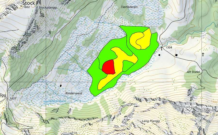 Landeskarte swisstopo mit dem Schutzperimeter von Tierfäderen (Hochmoor)