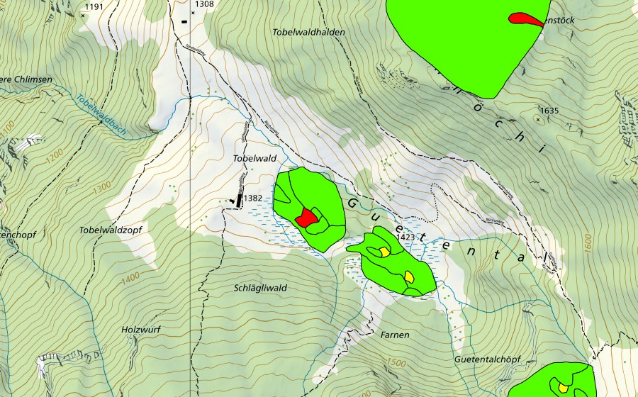 Carta nazionale swisstopo con il perimetro protetto di Tobelwald/Guetental (Torbiera alta)