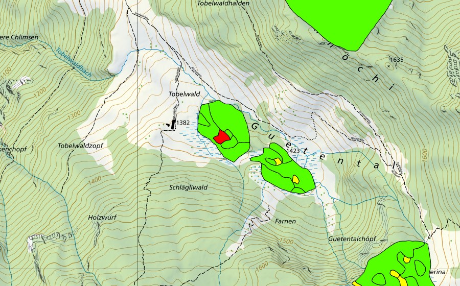Landeskarte swisstopo mit dem Schutzperimeter von Tobelwald/Guetental (Hochmoor)