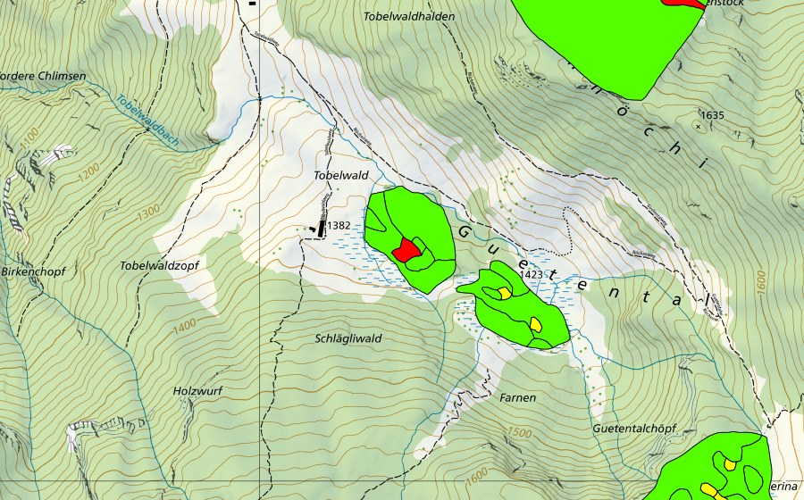 Carte nationale swisstopo avec le périmètre protégé de Tobelwald/Guetental (Haut-marais)