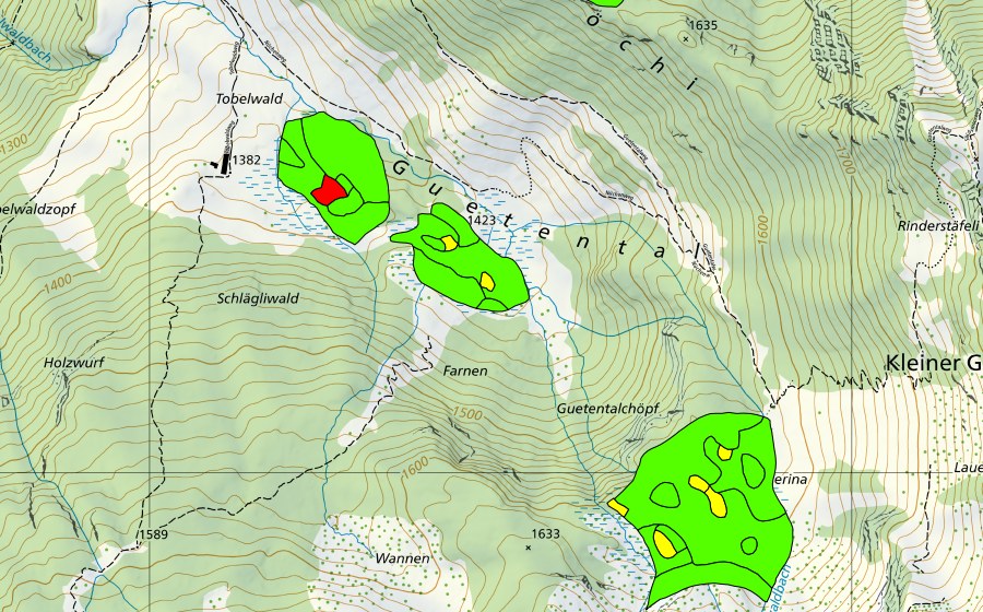 Carta nazionale swisstopo con il perimetro protetto di Tobelwald/Guetental (Torbiera alta)