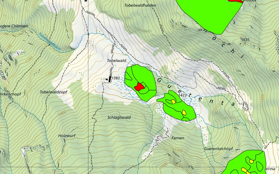 Carta nazionale swisstopo con il perimetro protetto di Tobelwald/Guetental (Torbiera alta)