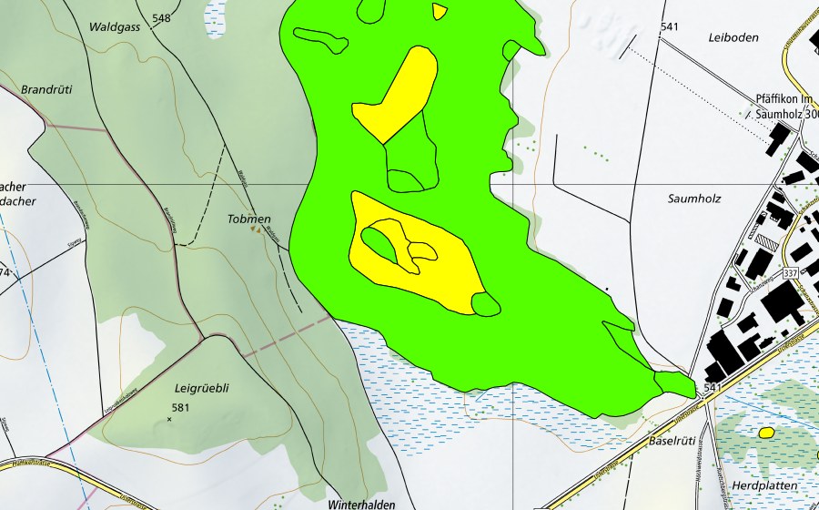 Landeskarte swisstopo mit dem Schutzperimeter von Torfriet (Hochmoor)