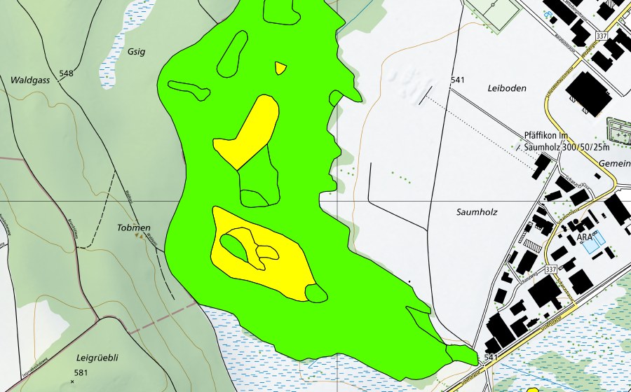 Landeskarte swisstopo mit dem Schutzperimeter von Torfriet (Hochmoor)