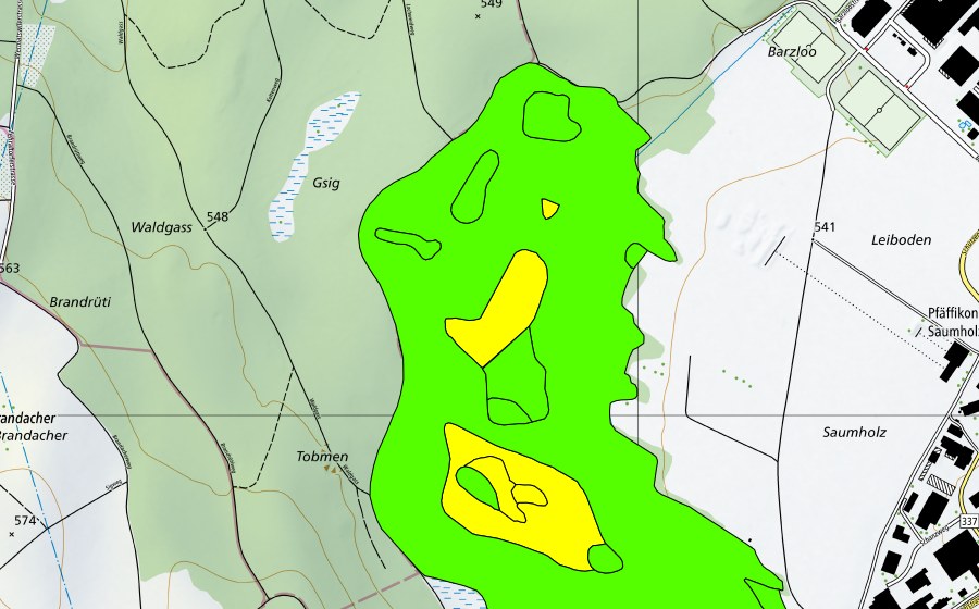 Landeskarte swisstopo mit dem Schutzperimeter von Torfriet (Hochmoor)