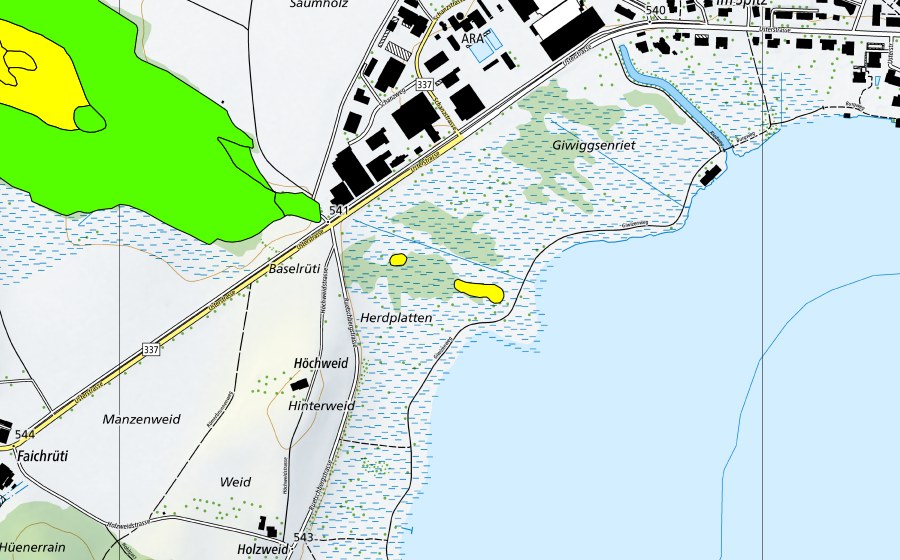 Landeskarte swisstopo mit dem Schutzperimeter von Torfriet (Hochmoor)
