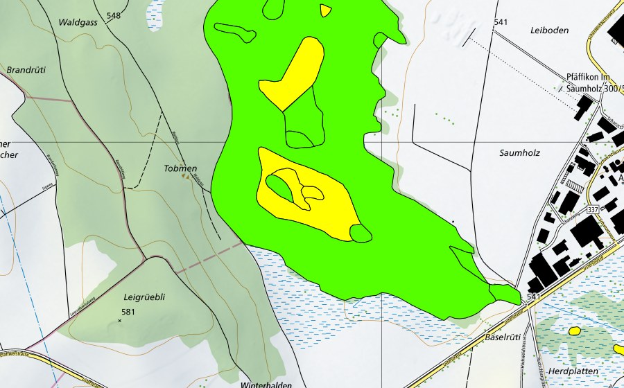 Landeskarte swisstopo mit dem Schutzperimeter von Torfriet (Hochmoor)