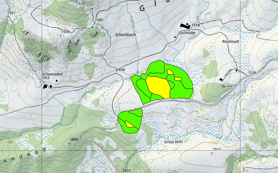 swisstopo national map showing the protected perimeter of Totmoos (Raised bog)
