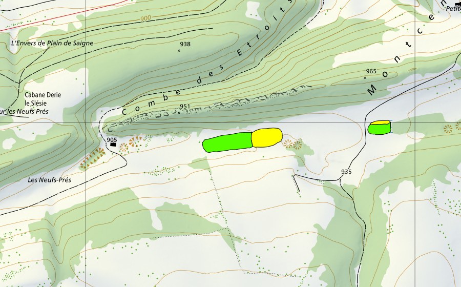 Landeskarte swisstopo mit dem Schutzperimeter von Tourbière à l'est des Neufs Prés (Hochmoor)
