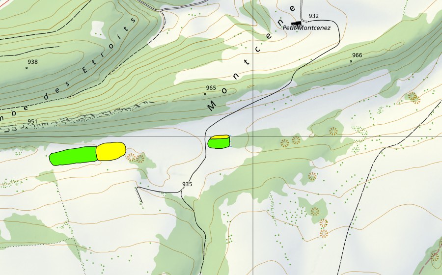 Landeskarte swisstopo mit dem Schutzperimeter von Tourbière à l'est des Neufs Prés (Hochmoor)
