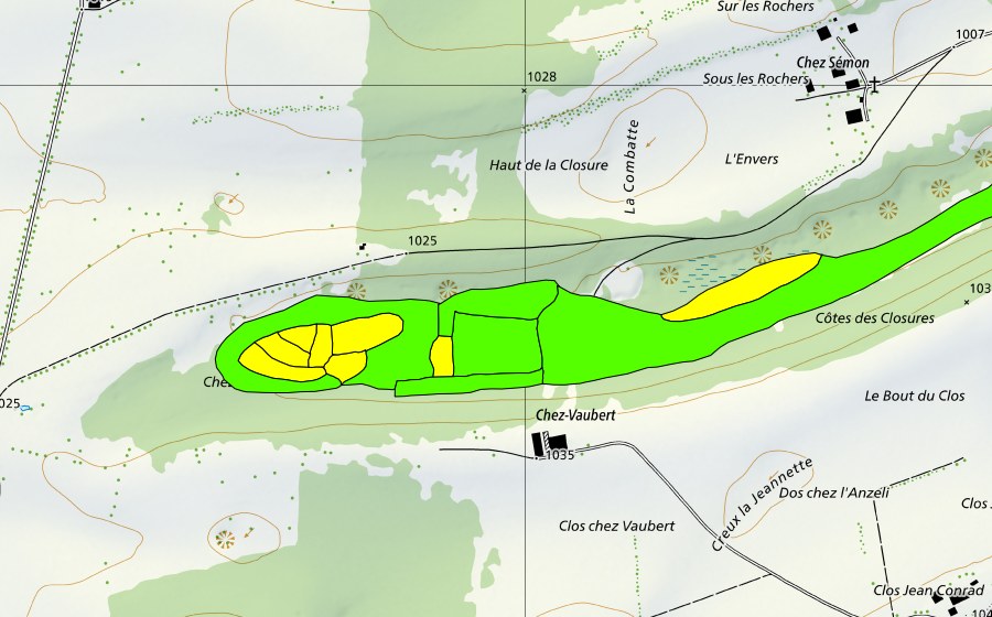 Carte nationale swisstopo avec le périmètre protégé de Tourbière à l'ouest de Prédame (Haut-marais)