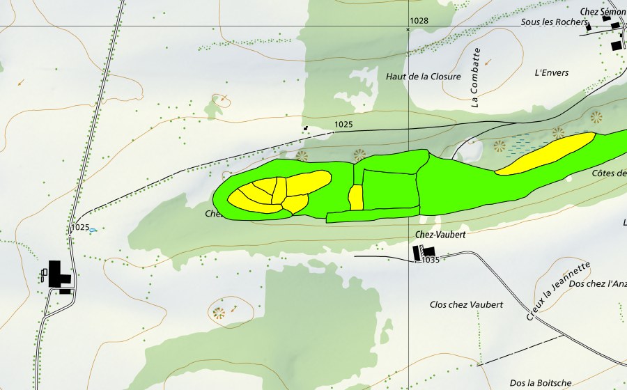 swisstopo national map showing the protected perimeter of Tourbière à l'ouest de Prédame (Raised bog)