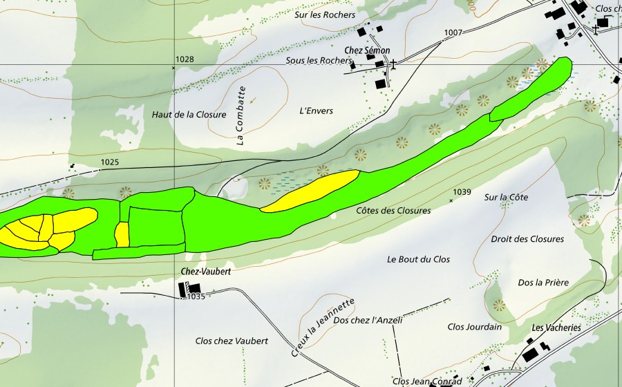 Carte nationale swisstopo avec le périmètre protégé de Tourbière à l'ouest de Prédame (Haut-marais)