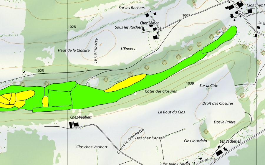 Carte nationale swisstopo avec le périmètre protégé de Tourbière à l'ouest de Prédame (Haut-marais)