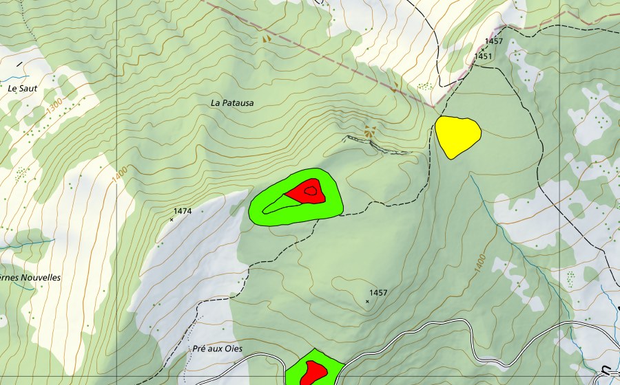 swisstopo national map showing the protected perimeter of Tourbière au Pâquier dessus (Raised bog)