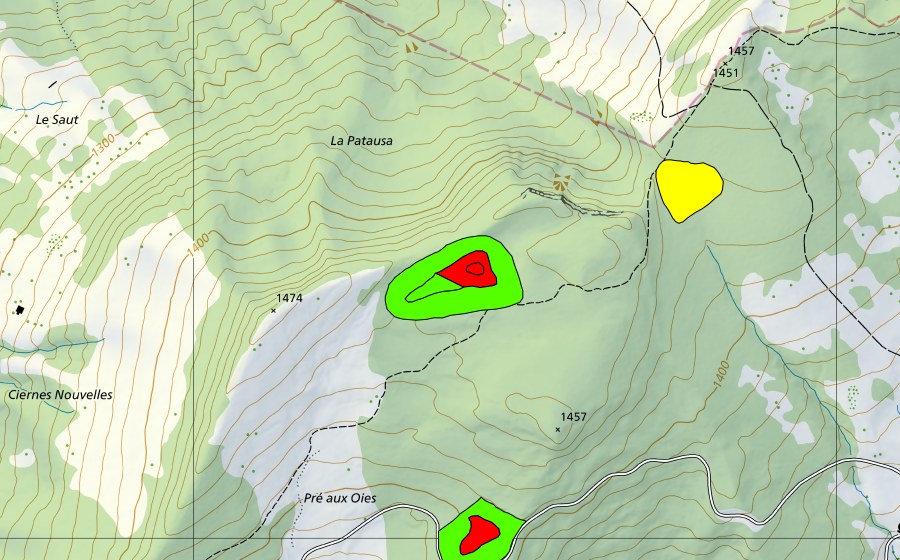 Landeskarte swisstopo mit dem Schutzperimeter von Tourbière au Pâquier dessus (Hochmoor)