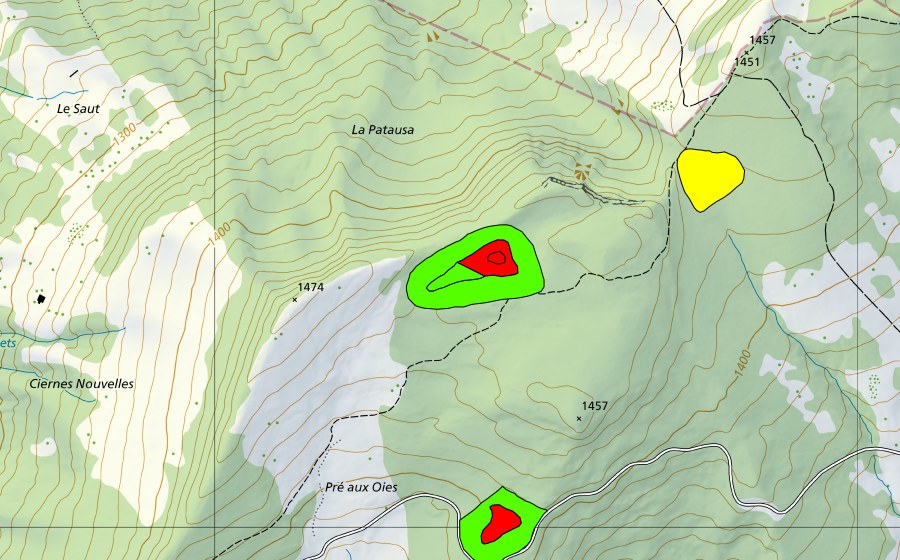 swisstopo national map showing the protected perimeter of Tourbière au Pâquier dessus (Raised bog)