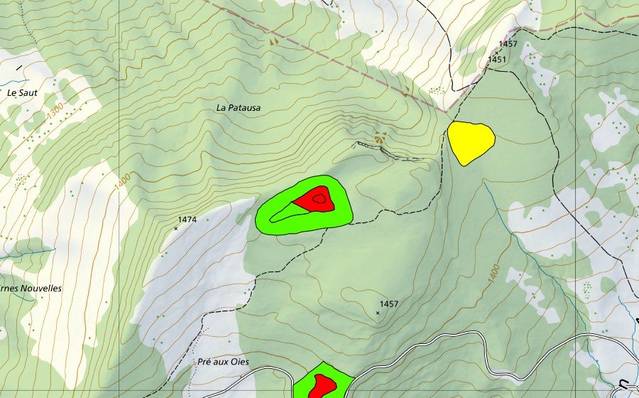 Landeskarte swisstopo mit dem Schutzperimeter von Tourbière au Pâquier dessus (Hochmoor)