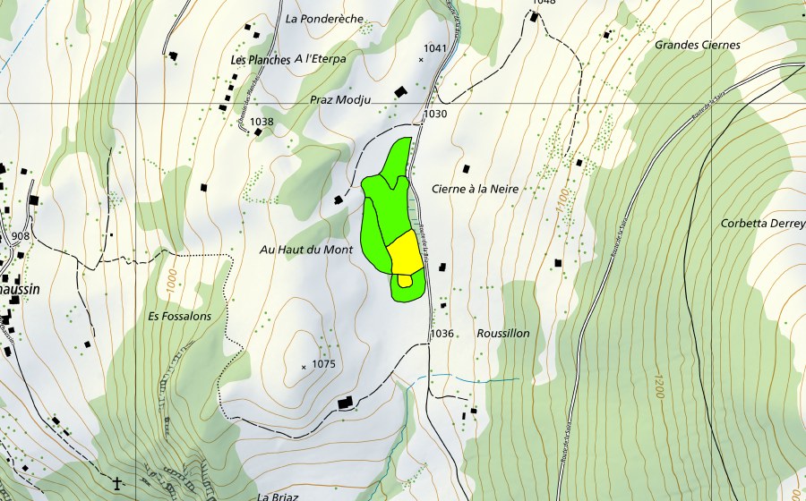 Carte nationale swisstopo avec le périmètre protégé de Tourbière au sud-est de Fruence (Haut-marais)
