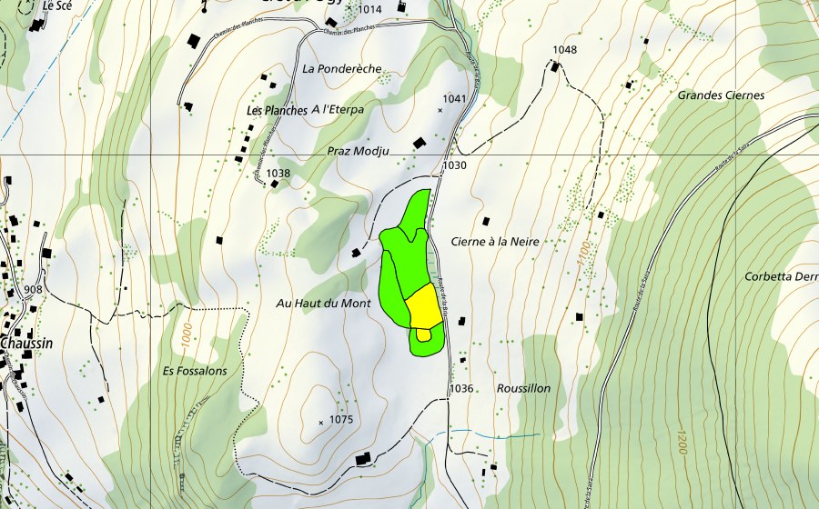 swisstopo national map showing the protected perimeter of Tourbière au sud-est de Fruence (Raised bog)