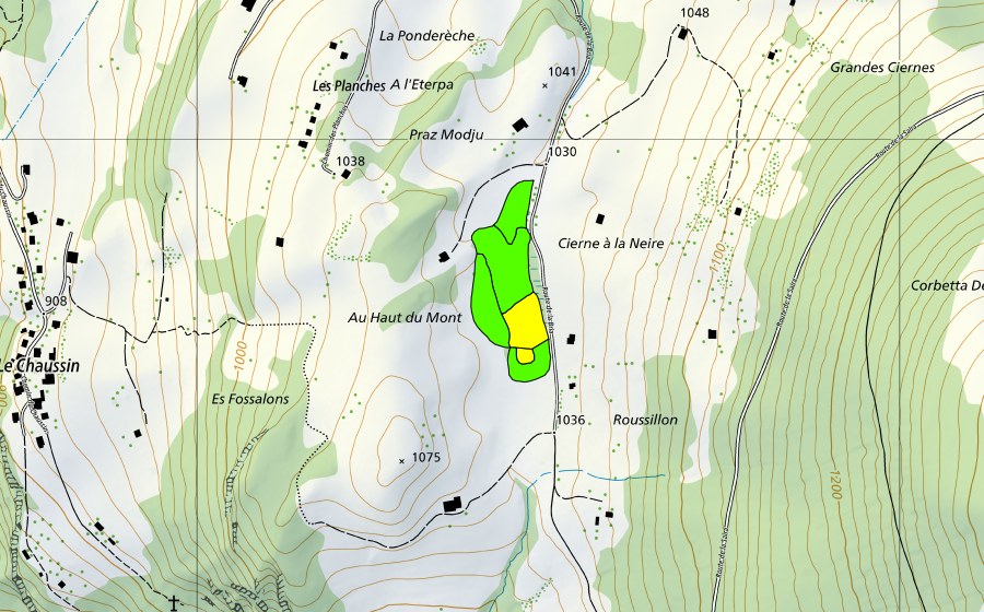 Landeskarte swisstopo mit dem Schutzperimeter von Tourbière au sud-est de Fruence (Hochmoor)