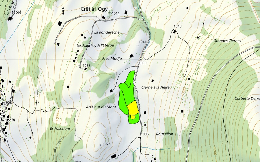 swisstopo national map showing the protected perimeter of Tourbière au sud-est de Fruence (Raised bog)