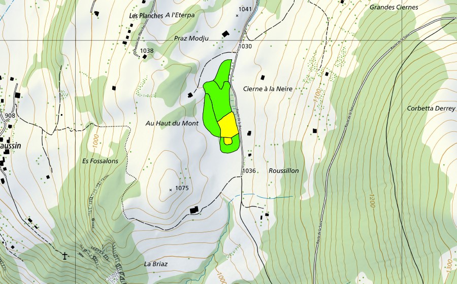 Carte nationale swisstopo avec le périmètre protégé de Tourbière au sud-est de Fruence (Haut-marais)