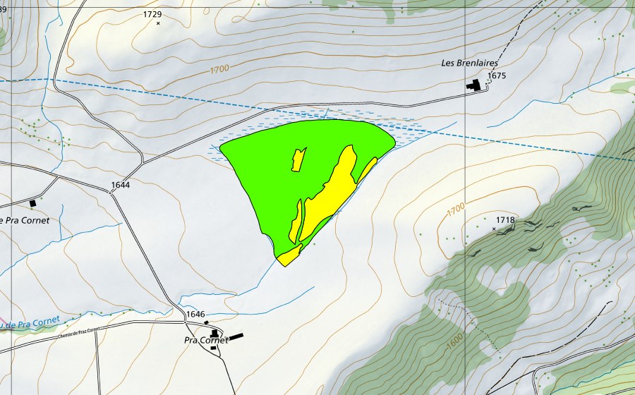 Landeskarte swisstopo mit dem Schutzperimeter von Tourbière de Pra Cornet (Hochmoor)