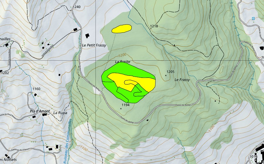 Carta nazionale swisstopo con il perimetro protetto di Tourbières dans la forêt du Frachy (Torbiera alta)