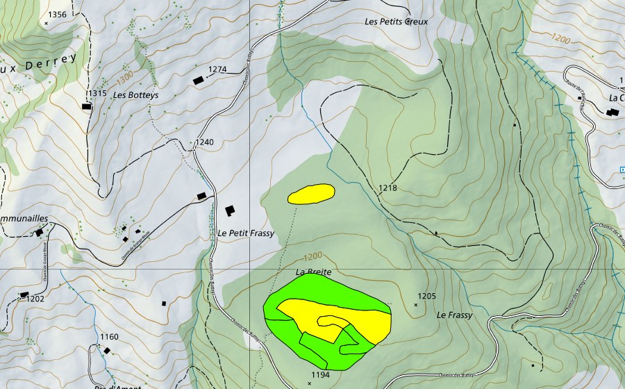 Carta nazionale swisstopo con il perimetro protetto di Tourbières dans la forêt du Frachy (Torbiera alta)