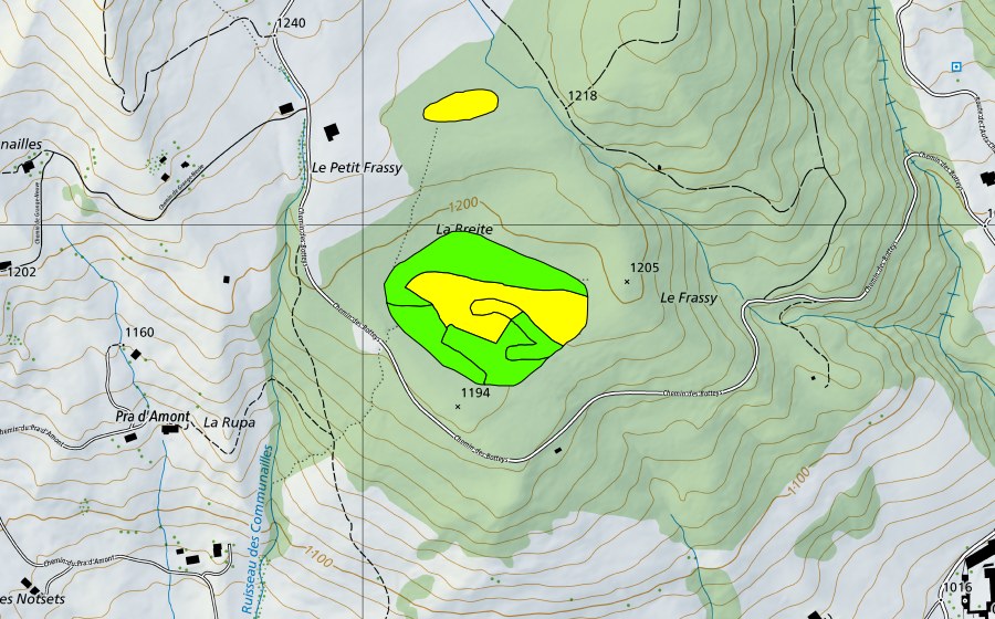 Landeskarte swisstopo mit dem Schutzperimeter von Tourbières dans la forêt du Frachy (Hochmoor)
