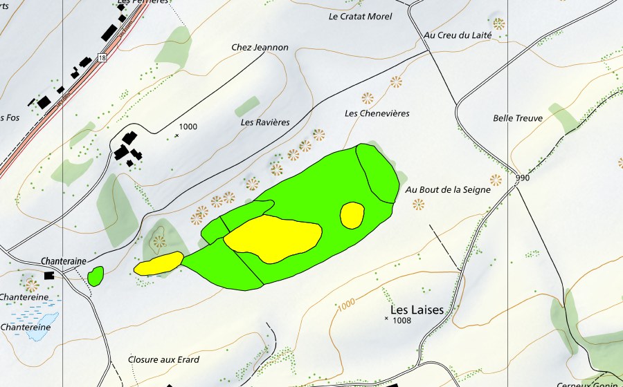 Carte nationale swisstopo avec le périmètre protégé de Tourbières de Chanteraine (Haut-marais)