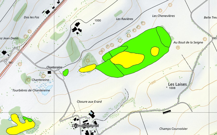swisstopo national map showing the protected perimeter of Tourbières de Chanteraine (Raised bog)