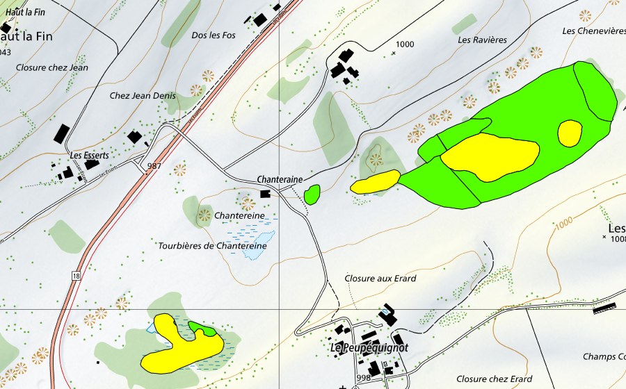 Landeskarte swisstopo mit dem Schutzperimeter von Tourbières de Chanteraine (Hochmoor)