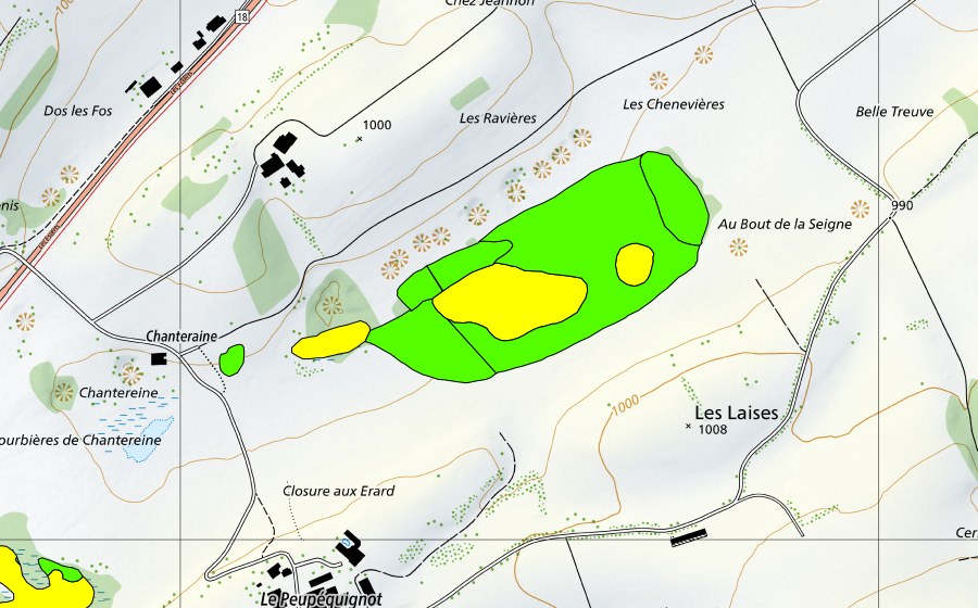 Landeskarte swisstopo mit dem Schutzperimeter von Tourbières de Chanteraine (Hochmoor)