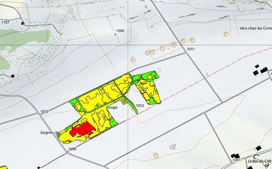 Landeskarte swisstopo mit dem Schutzperimeter von Tourbières du Cachot (Le Marais/Marais Rouge) (Hochmoor)