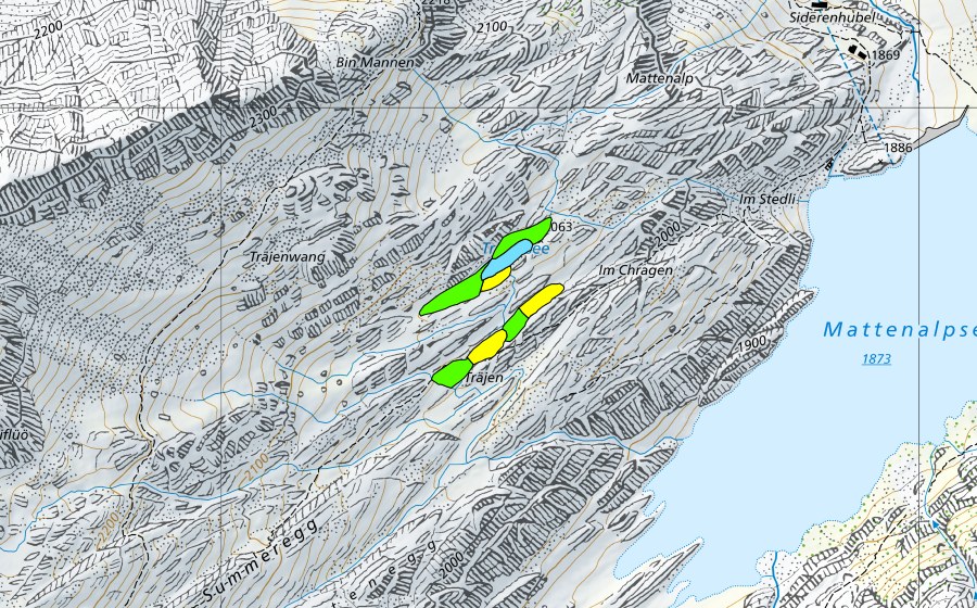 Landeskarte swisstopo mit dem Schutzperimeter von Träjen (Hochmoor)
