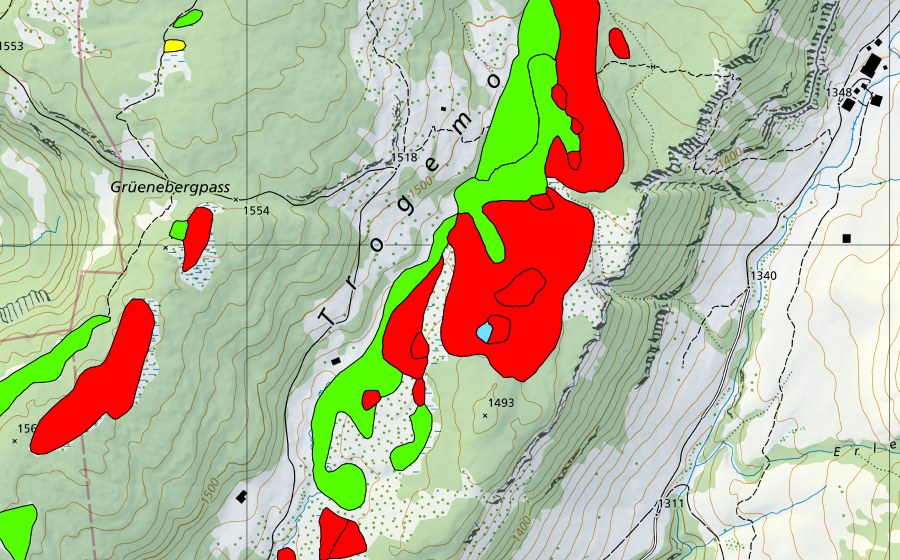 Carte nationale swisstopo avec le périmètre protégé de Trogenmoos (Haut-marais)
