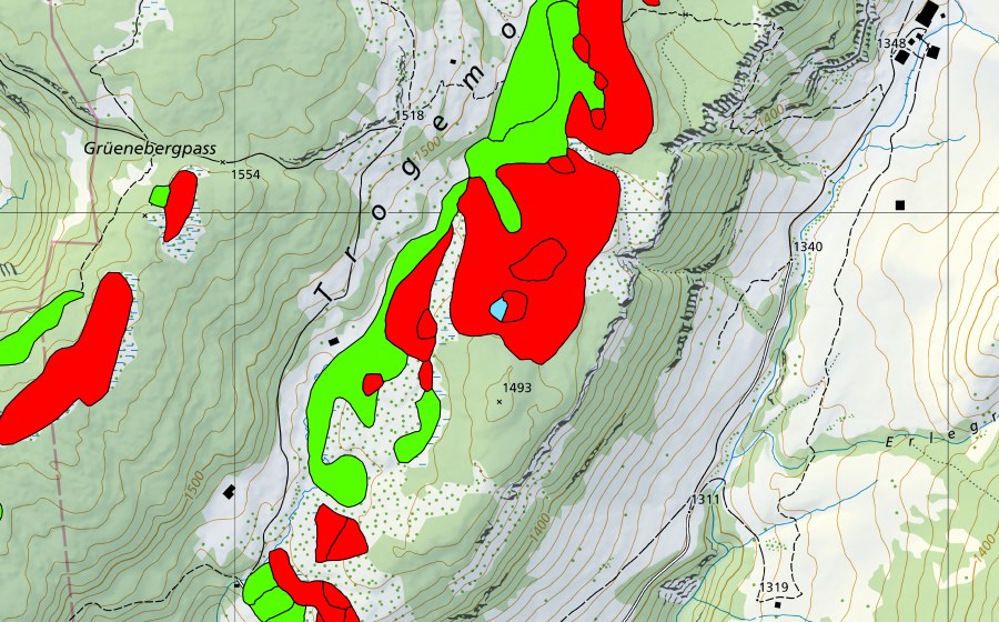 Carte nationale swisstopo avec le périmètre protégé de Trogenmoos (Haut-marais)