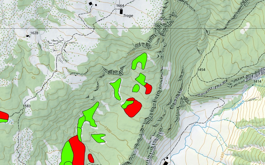 Landeskarte swisstopo mit dem Schutzperimeter von Trogenmoos (Hochmoor)