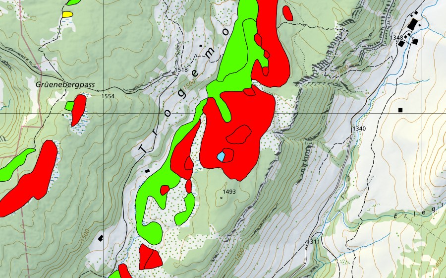 swisstopo national map showing the protected perimeter of Trogenmoos (Raised bog)