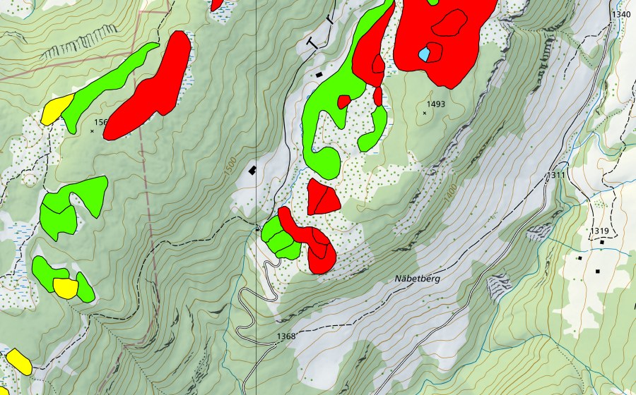 Carte nationale swisstopo avec le périmètre protégé de Trogenmoos (Haut-marais)