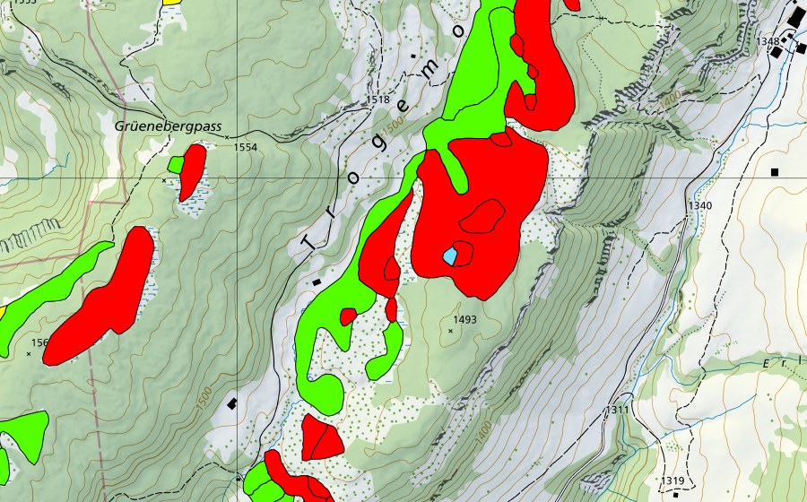 swisstopo national map showing the protected perimeter of Trogenmoos (Raised bog)