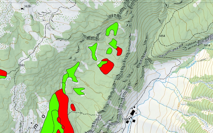 Landeskarte swisstopo mit dem Schutzperimeter von Trogenmoos (Hochmoor)